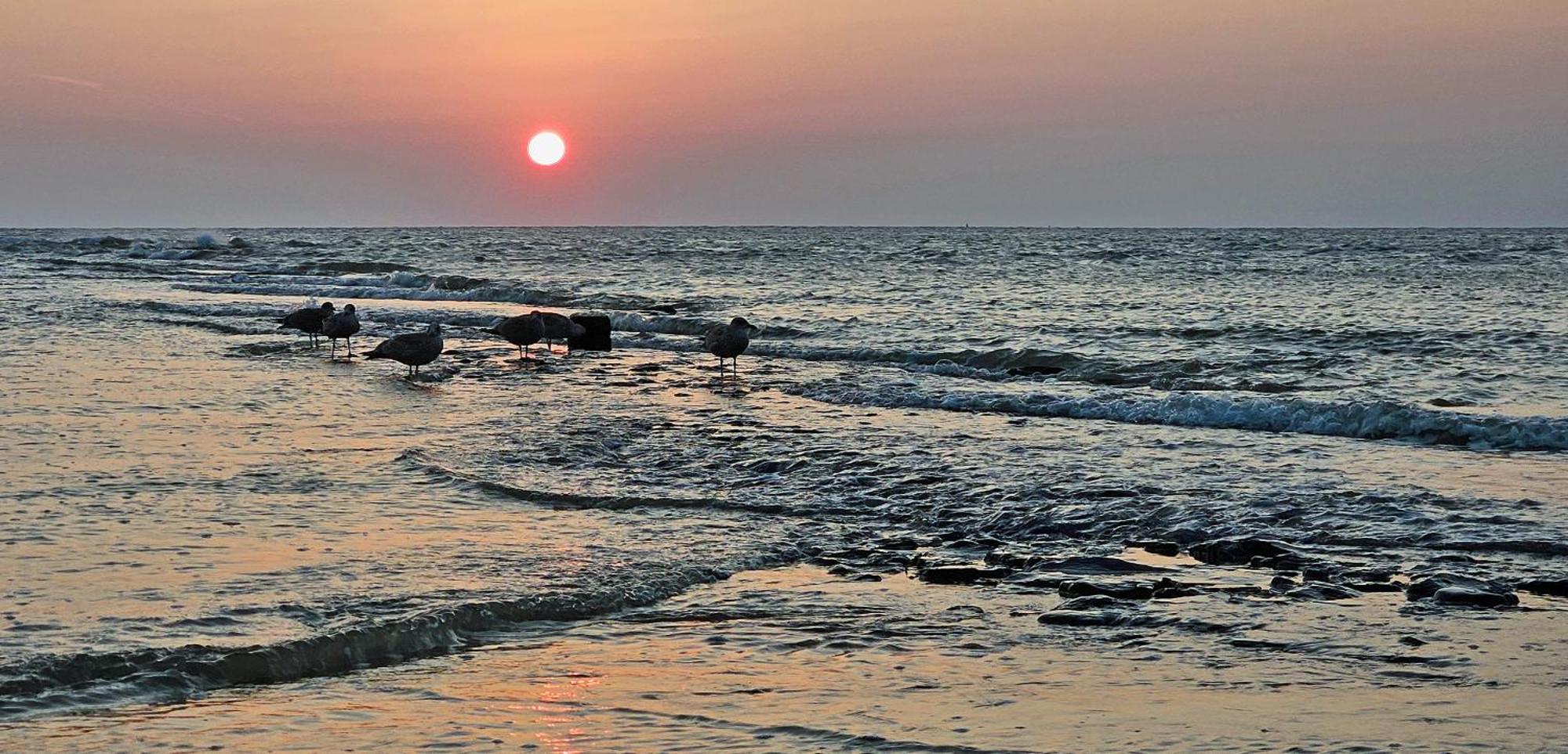 Zanddijk 113, Julianadorp Aan Zee Exteriör bild